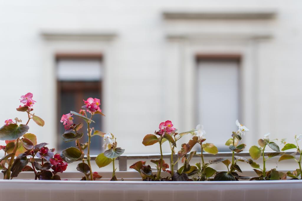 Ferienwohnung Downtown Synagogue Budapest Exterior foto